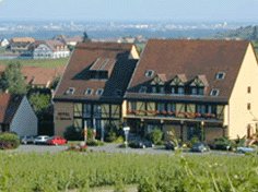 Hotel Le Riquewihr in Alsace